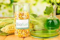 How biofuel availability