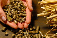 free How biomass boiler quotes